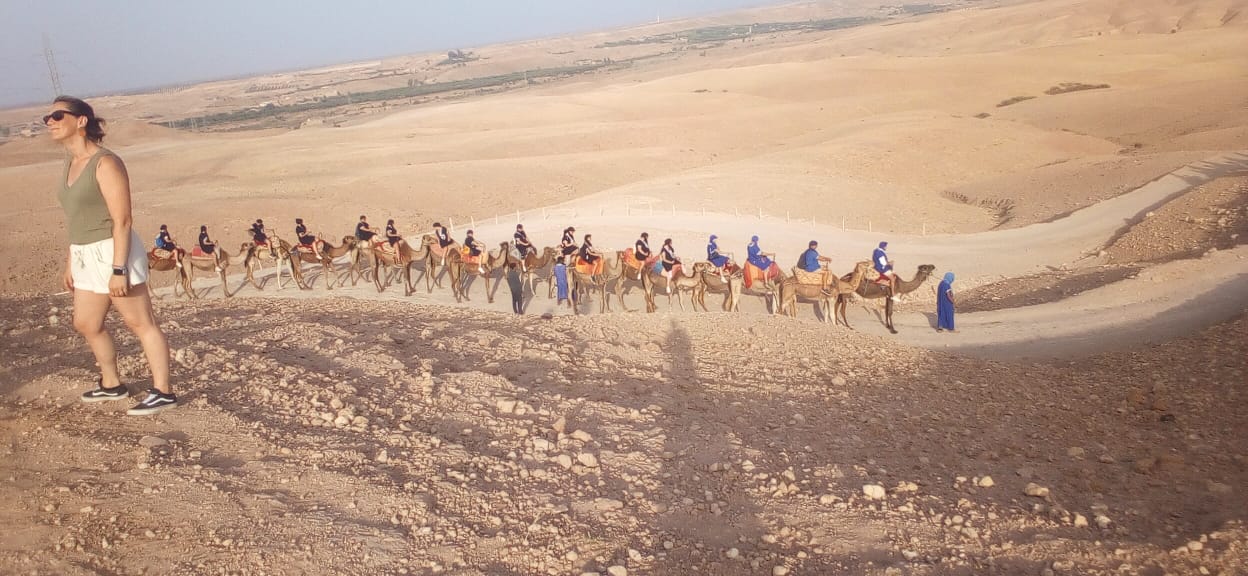 Camel Ride Experience 